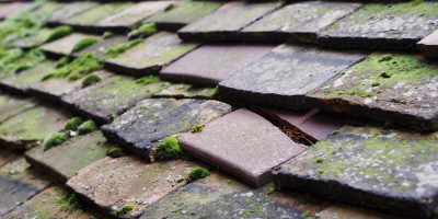 Hall End roof repair costs